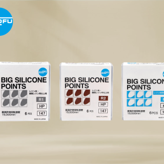 Big silicone-1